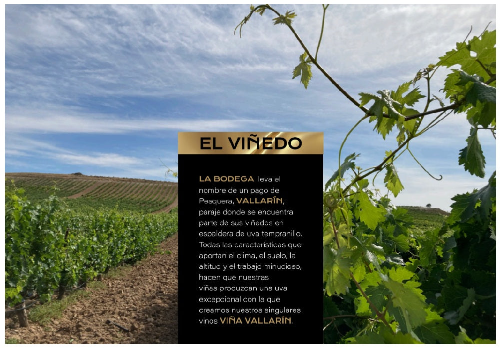 VALLARIN TINTO 6M - 12 BOTELLAS - Imagen 6